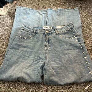 PTCL Gia high rise studded straight leg Jean